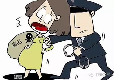 2016年初，涉縣警方查獲一起涉毒案件，鑒于該案涉案人員多、毒品交易量大，涉縣警方立即將案情上報(bào)，被公安部確立為“目標(biāo)-2016-314”號(hào)毒品案件。涉縣警方成立專案組，經(jīng)過多方追查，先后抓獲團(tuán)伙人員13名，繳獲毒品5349克，并查明上線“濮姐”的真實(shí)身份為陳某。